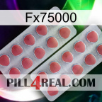 Fx75000 19